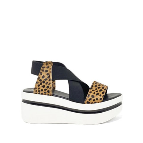 Cheetah Wedge